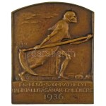 Sződy Szilárd (1878-1939) 1936. "Dr. Smidt Lajos sebész-orvos 25 éves gyűjtői jubileuma ...