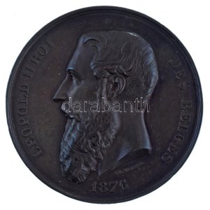 Belgium 1876. Leopold II Roi des Belges 1876 / Exposition et Congres d'Hygiéne et de Sauvetage á Bruxelles ...