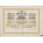 1905. Budapest "Magyarországi Bánya- és Petróleum-Részvénytársaság" részvénye 200K-ról "11560", szárazpecséttel...