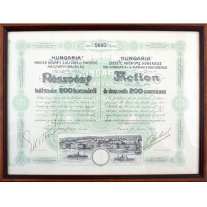 1907. Fiume 'Hungaria' Magyar Növényi Olaj-Gyár és Finomító Részvénytársaság részvénye 200K...