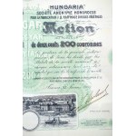 1907. Fiume 'Hungaria' Magyar Növényi Olaj-Gyár és Finomító Részvénytársaság részvénye 200K...