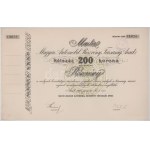 1913. Arad "Martal Magyar Automobil Részvénytársaság" részvénye 200K-ról, szárazpecséttel, bélyegzéssel...