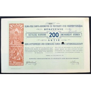 1913. Pernek Klima-féle Bánya-Kohóművek és Vegyészeti Gyár Részvénytársaság részvénye 200K-ról, szárazpecséttel...