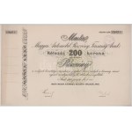 1916. Arad "Martal Magyar Automobil Részvénytársaság" részvénye 200K-ról, szárazpecséttel, bélyegzéssel...