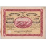 1926. Budapest "Dr. Keleti és Murányi Vegyészeti Gyár Részvénytársaság" részvénye 50P-ről, szárazpecséttel...