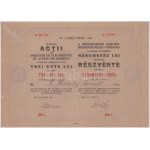 1923. Románia / Dés "A Szentbenedeki Elektromos Művek Részvénytársaság" 10db névre szóló részvénye egyben...