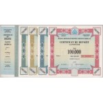 Románia DN "Banca Romana Pentru Dezvoltare S.A." (Román Fejlesztési Bank Rt.) részvény 100.000L-ről...