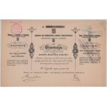 Szerb-Horvát-Szlovén Királyság / Zágráb 1919. "Banka za trgovinu, obrt i industriju dionicarsko drustvo u zagrebu" ...