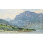 Bosznay István (1868-1944): Fenyőháza (Lubochna, Felvidék, Tátra), 1912. Olaj, karton, jelezve jobbra lent...