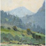 Bosznay István (1868-1944): Fenyőháza (Lubochna, Felvidék, Tátra), 1912. Olaj, karton, jelezve jobbra lent...