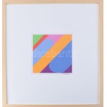 Beöthy-Steiner Anna (1902-1985): Geometrikus kompozíció (cím nélkül). Szitanyomat, papír. Jelzett. Üvegezett fakeretben...