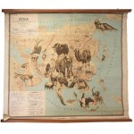 1926 Ázsia jellemzőbb gerinces állatai, tervezte: Baloghné Hajós Terézia, rajzolta: Bálint János. Bp., M. Kir...