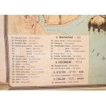 1926 Ázsia jellemzőbb gerinces állatai, tervezte: Baloghné Hajós Terézia, rajzolta: Bálint János. Bp., M. Kir...