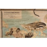 1926 Északamerika jellemzőbb gerinces állatai, tervezte: Baloghné Hajós Terézia, rajzolta: Bálint János. Bp., M. Kir...