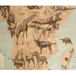 1926 Afrika jellemzőbb gerinces állatai, tervezte: Baloghné Hajós Terézia, rajzolta: Bálint János. Bp., M. Kir...