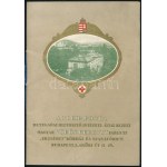 cca 1914 A M. Kir. Posta Magyar Vörös Kereszt Egyleti Erzsébet Kórház és Szanatórium Bp. Győri út 17-19...