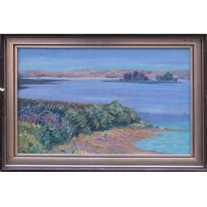 Painter INDEPENDENT, Landscape with a spillway