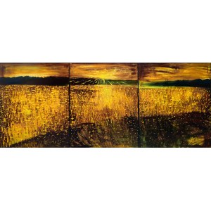 Bartholomew Kulpa, Field Sequence from the series Journey Through the Dream, 2025