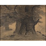 Leon Wyczółkowski (1852 Huta Miastkowska - 1936 Warsaw), "Dęby" ("Oaks in the Białowieża Forest"), 1926