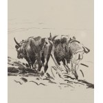 Leon Wyczółkowski (1852 Huta Miastkowska - 1936 Warszawa), Orka. Plansza 14 z Teka litewska. 25 autolitografii i autoalgrafii, 1907