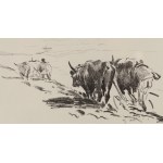 Leon Wyczółkowski (1852 Huta Miastkowska - 1936 Warszawa), Orka. Plansza 14 z Teka litewska. 25 autolitografii i autoalgrafii, 1907
