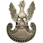 Polish [officer