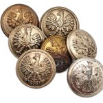 A collection of buttons - Polish Army of the Second Republic
