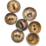 A collection of buttons - Polish Army of the Second Republic