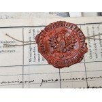 [Krzemieniec - Tkaczynski Pharmacy ] Archive of documents and photographs pertaining to the Tkaczynski family of pharmacists from the Borderlands - Second Republic [ Kresy, Volhynia ].