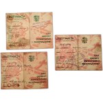 Collection of L.O.P.P. cards. - Biała, Brzeszcze, 1930s, Second Republic [ Bielsko ].