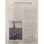 Journal of announcements for the Polish population of the districts - Bendsburg (Będzin) Bielitz (Bielsko) Blachstädt (Blachownia) Ilkenau (Olkusz) Krenau (Chrzanów) Saybusch (Zywiec) Sosnowitz (Sosnowiec) Warthenau (Zawiercie), September 1944 [ Warsaw Up
