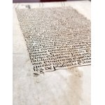 [Manuscript] Manuscript parchment - legal document (Spain, 16th century) - Franciscan and missionary Juan de Plasencia (c. 1520-1590).