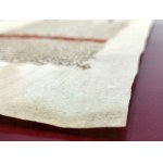[Manuscript] Manuscript parchment - legal document (Spain, 16th century) - Franciscan and missionary Juan de Plasencia (c. 1520-1590).