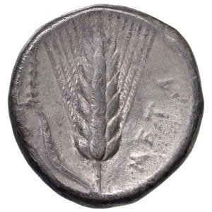 Greek Coins - § LUCANIA Metapontion (340-330 BC) Statere -...