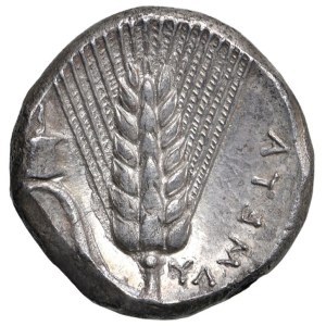 Greek Coins - § LUCANIA Metapontion (320-280 BC) Statere -...