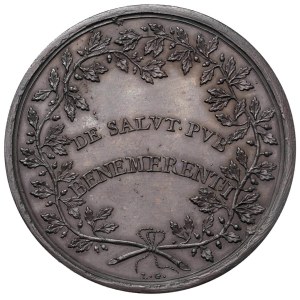 F. C. Collection - Pius VII (1800-1823) Medal An. XXIV DE ...