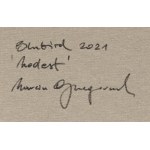 Marcin Gregorczuk \n-Bubird (geb. 1977, Siedlce), Modest, 2021