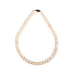 Pink coral necklace