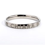 Diamond titanium rigid bracelet