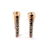 Black diamond gold earrings
