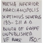 Ancient Roman Provincial, Moesia Inferior. 193-211 AD. Septimius Severus