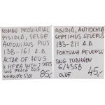 Antica provincia romana. Antonino Pio e Settimio Severo (2 pezzi)