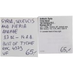 Ancient Syria Seleucis and Pieria Apamae & Civic Issue (2 pieces)