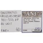 Ancient Roman. Constantius Gallus & Julia Domna (2 Pieces)