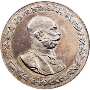 Franz Joseph I., Medal 1901