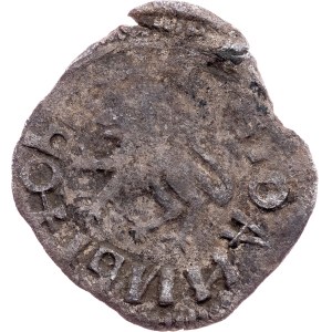 Šlechtic Djuradj Branković Mistr Kosova, 1/2 dináru 1402-1412
