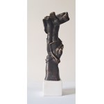 Sylwia Caban, Robe, ed. 2/9, 2022