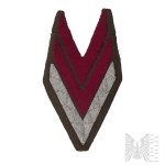 1WW - Chevron of the Polish Corps in Russia.