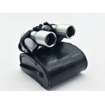 PERL 8x20 theatrical (?) binoculars in case