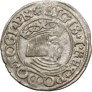 Sigismund I. der Alte, Groschen von 1534, Danzig
